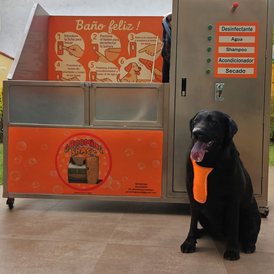 Tienda de mascotas moderna